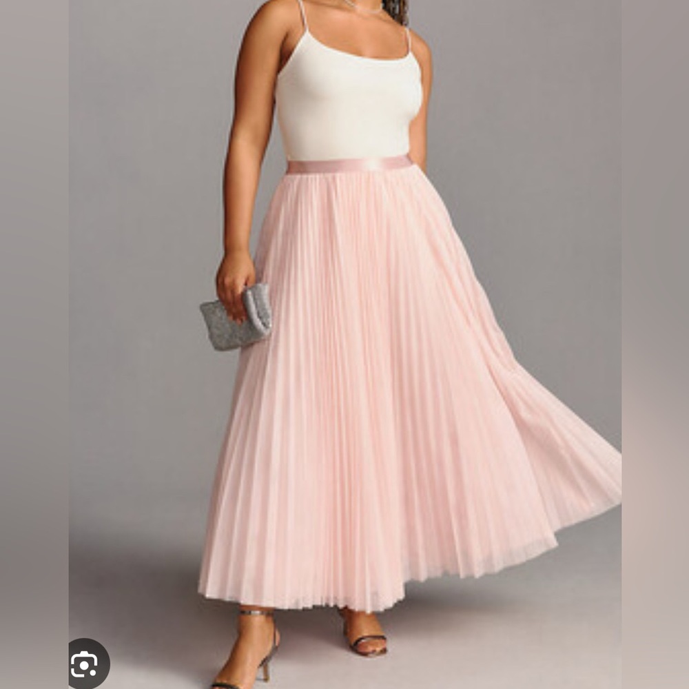 NWT Hutch Pink Pleated Tulle Skirt